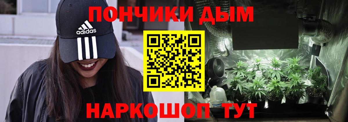 Конопля сатива  Вход с VPN  Курчалой  Конопля OG Kush  Конопля Ganja 